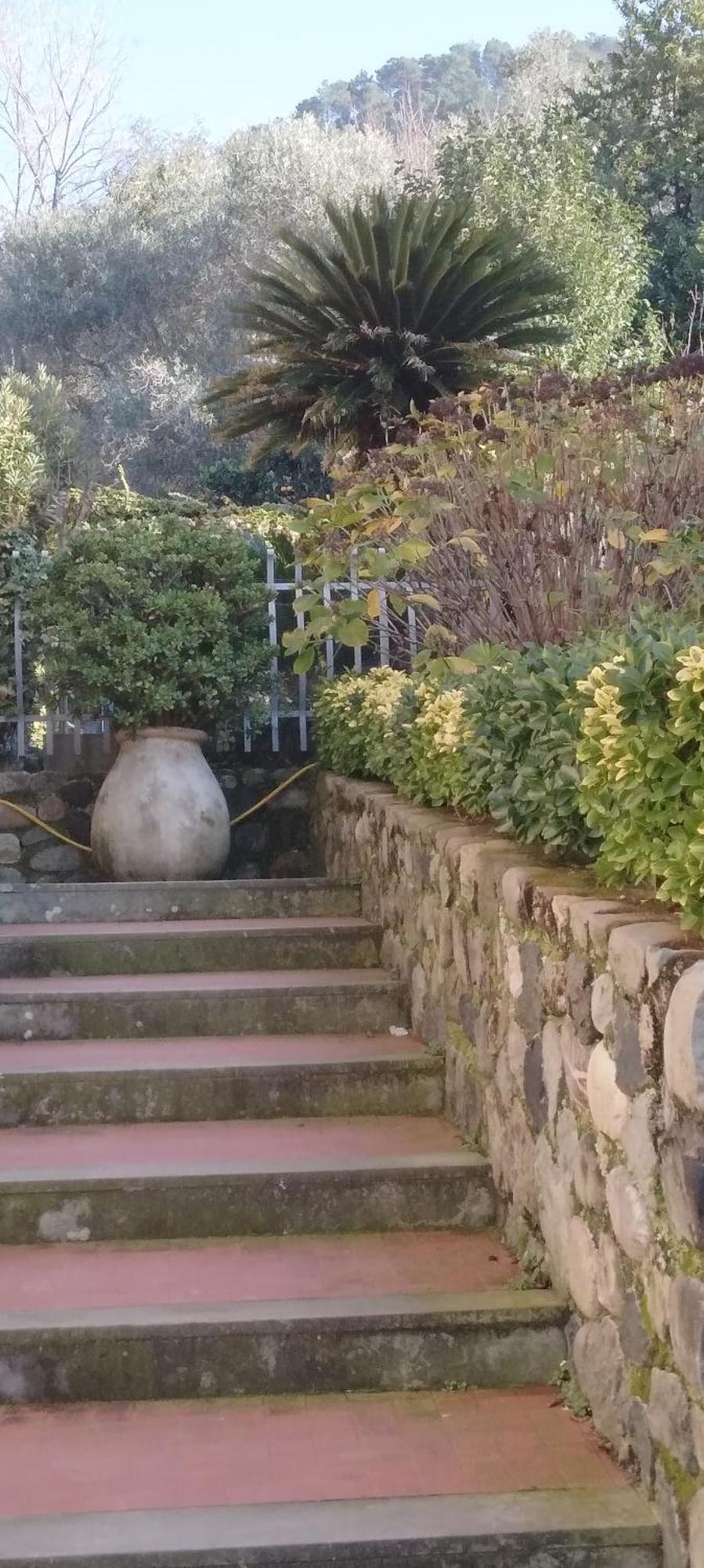 Oasi Felice Apartamento Levanto Exterior foto
